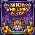 Ninja Knife Pro